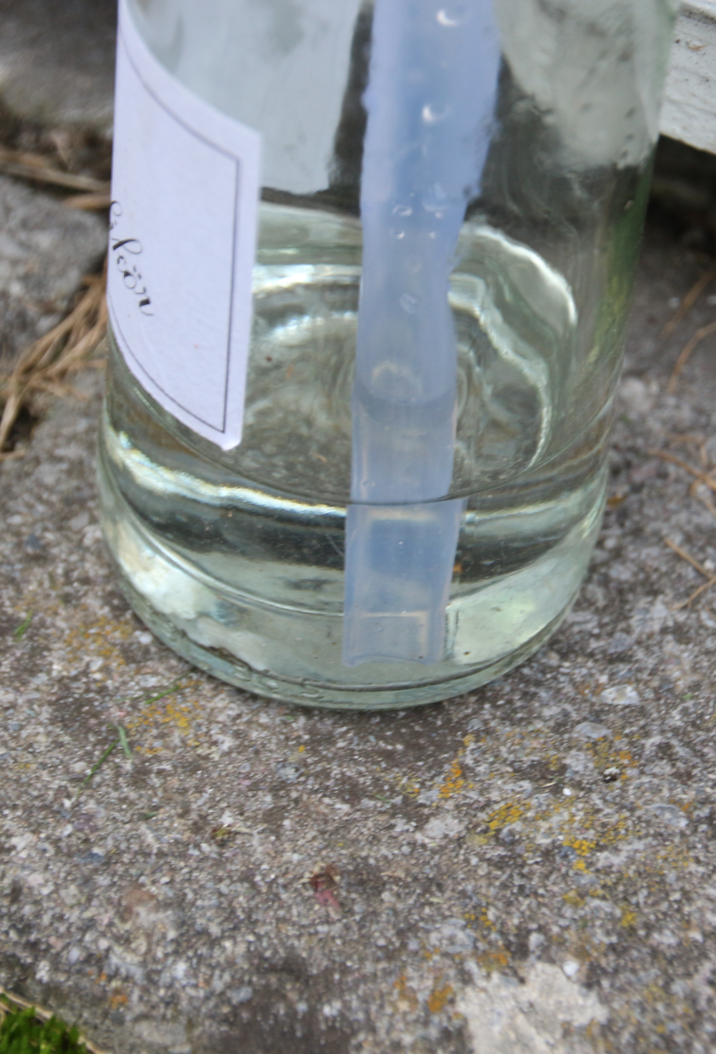 A bottle with some liquid inside
